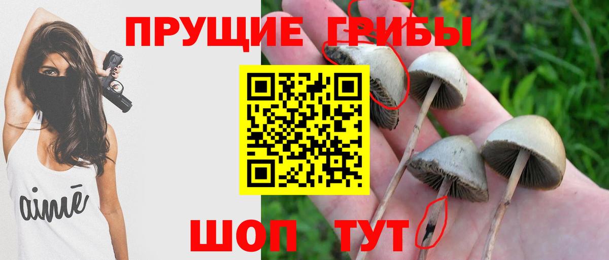 Псилоцибиновые грибы мухоморы Белая Калитва